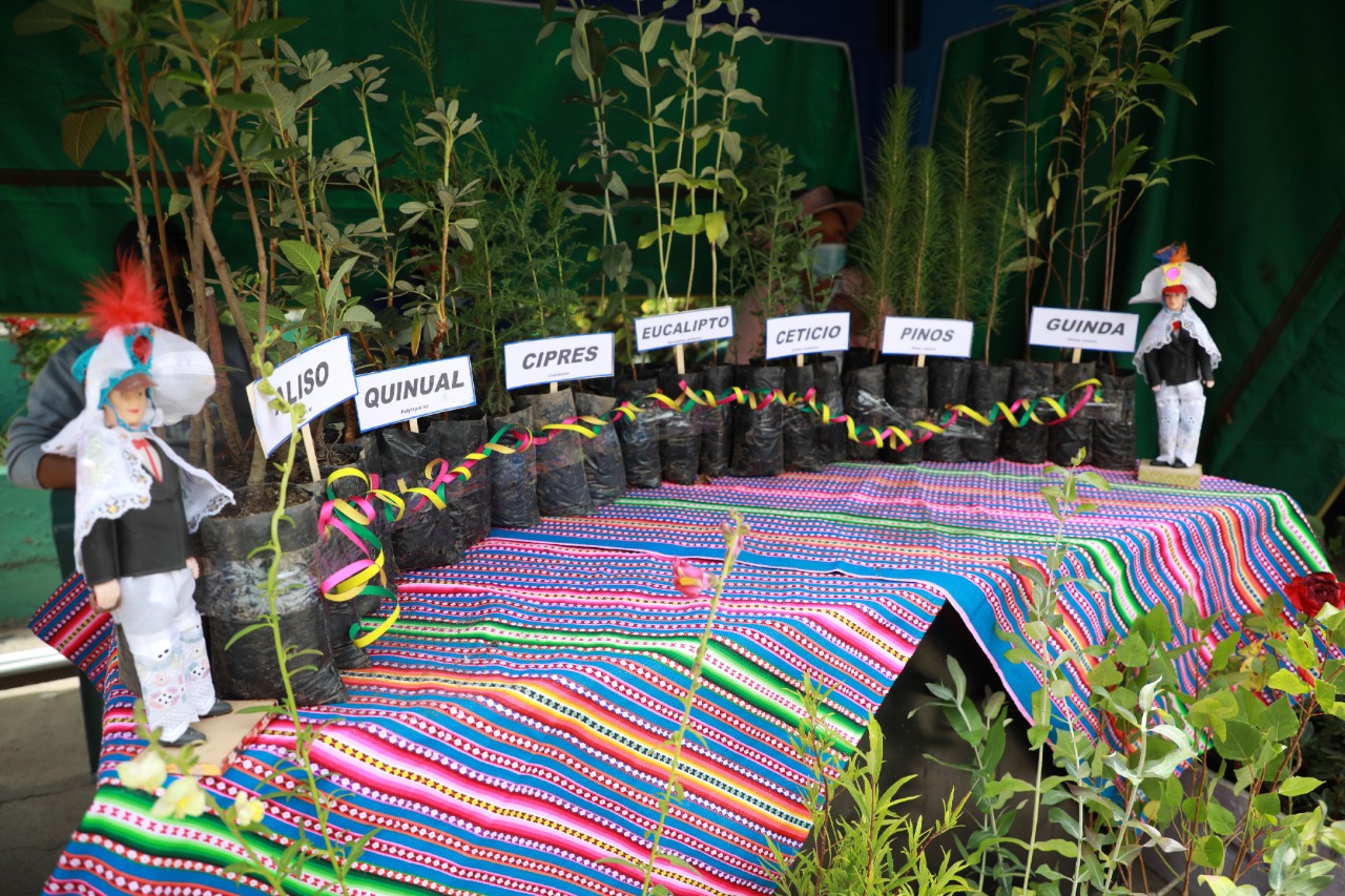 b3e20942-d1de-45fe-91f3-18f36f5bd97e