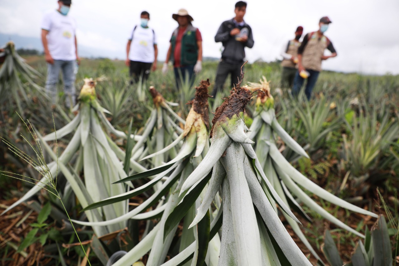 f5b85c0d-fe7d-4c2f-b91a-5345b1289d46