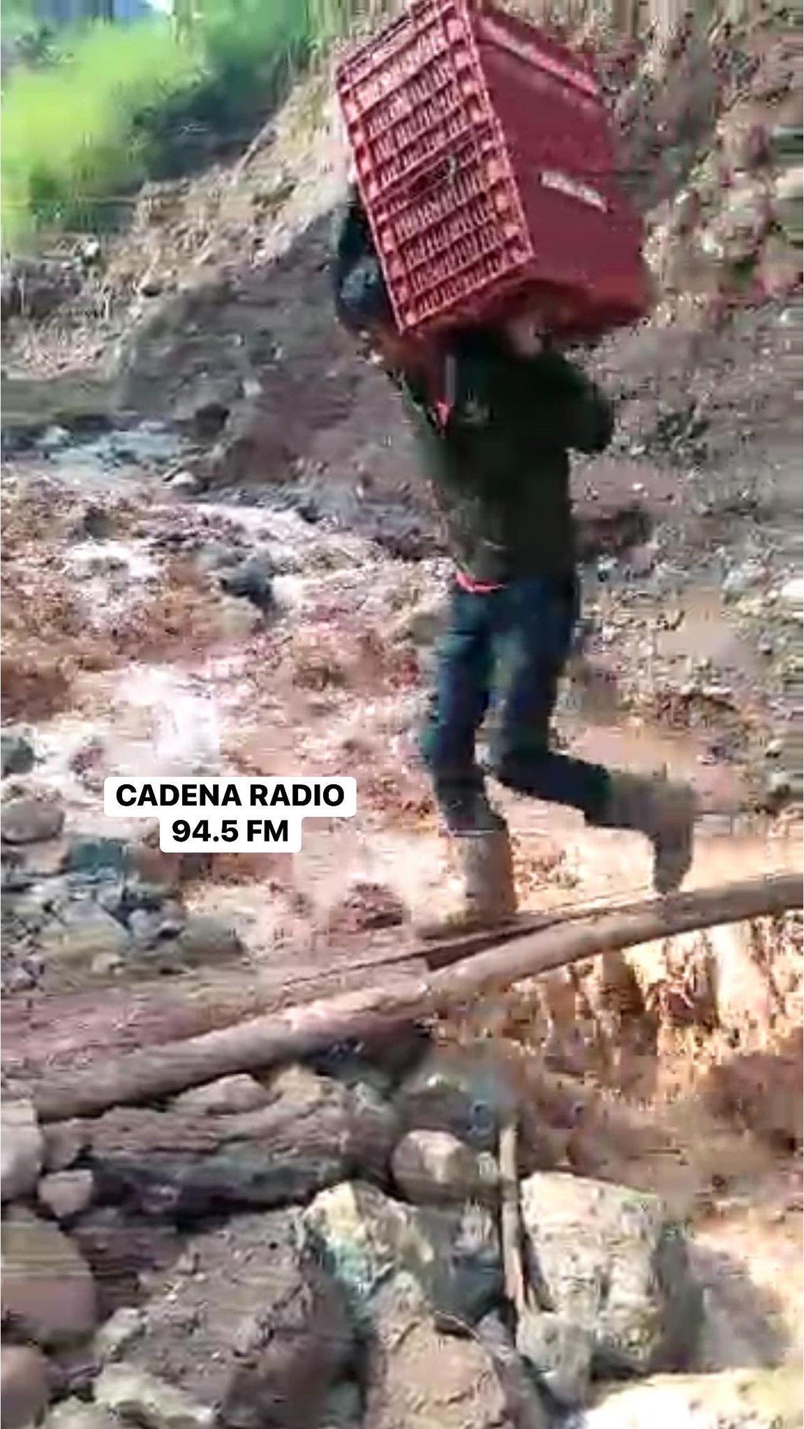 272957663_10220646301042697_8158751519685116277_n