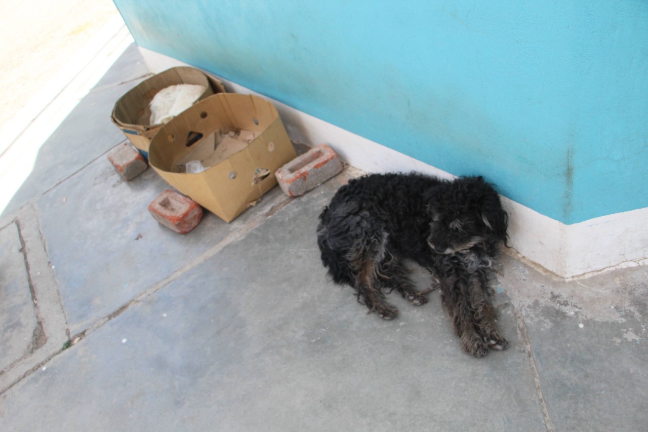 a47c3e27-517a-4883-a46b-01c72ec1b10e