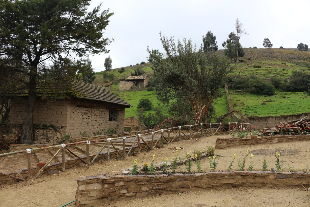 c2cfea2a-c260-4c20-9d01-6a7e25d8b33e